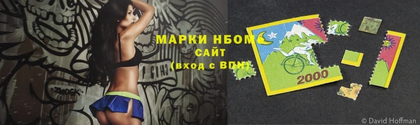 гидра Новозыбков
