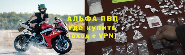 гидра Новозыбков