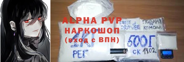 шишки Бикин