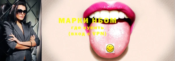 соль ск Няндома