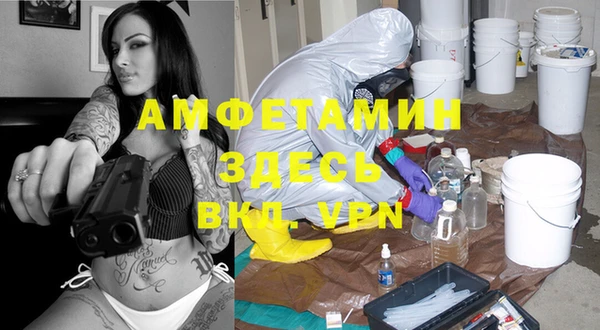 гидра Новозыбков