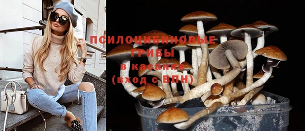 соль ск Няндома