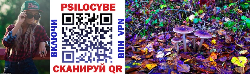 закладка  Задонск  Галлюциногенные грибы Psilocybine cubensis 